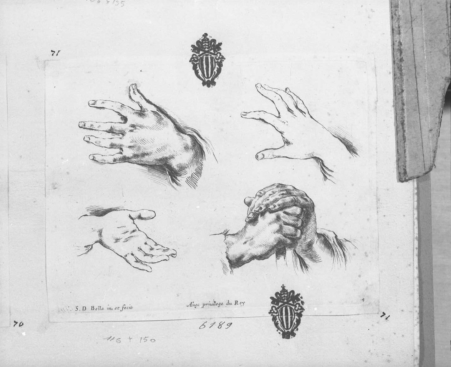 I principi del disegno: due mani appoggiate su un bastone e altre tre mani, mani (stampa tagliata) di Della Bella Stefano (sec. XVII)