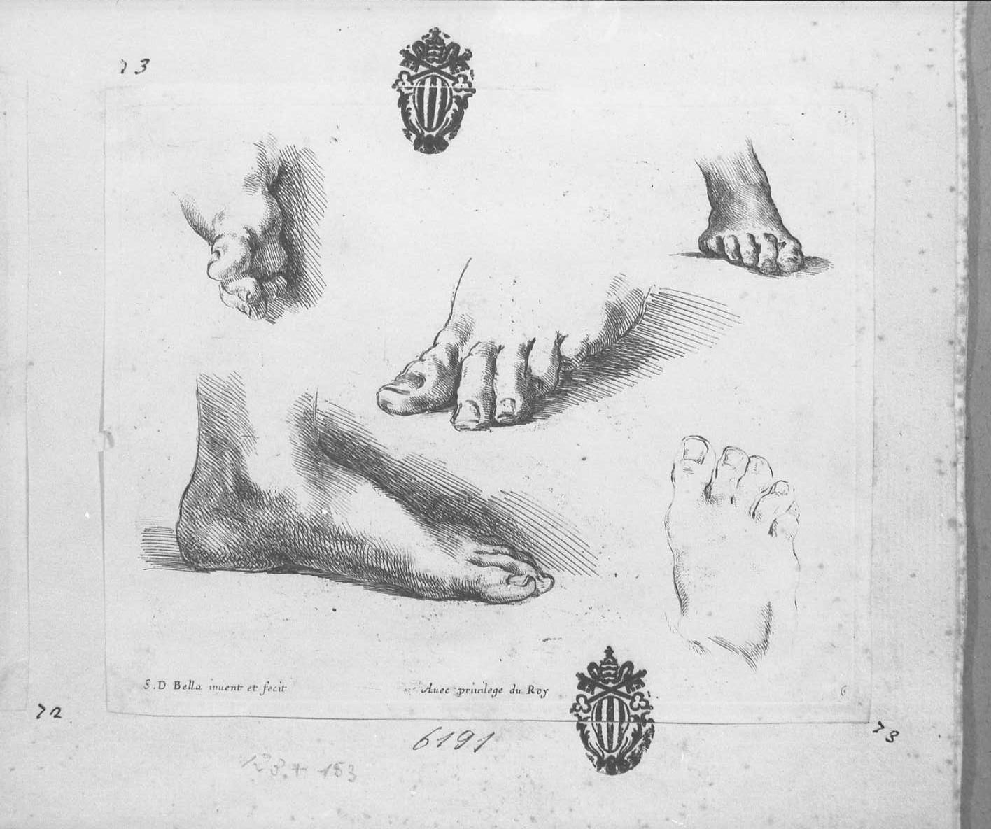 I principi del disegno: cinque piedi, piedi (stampa tagliata) di Della Bella Stefano (sec. XVII)