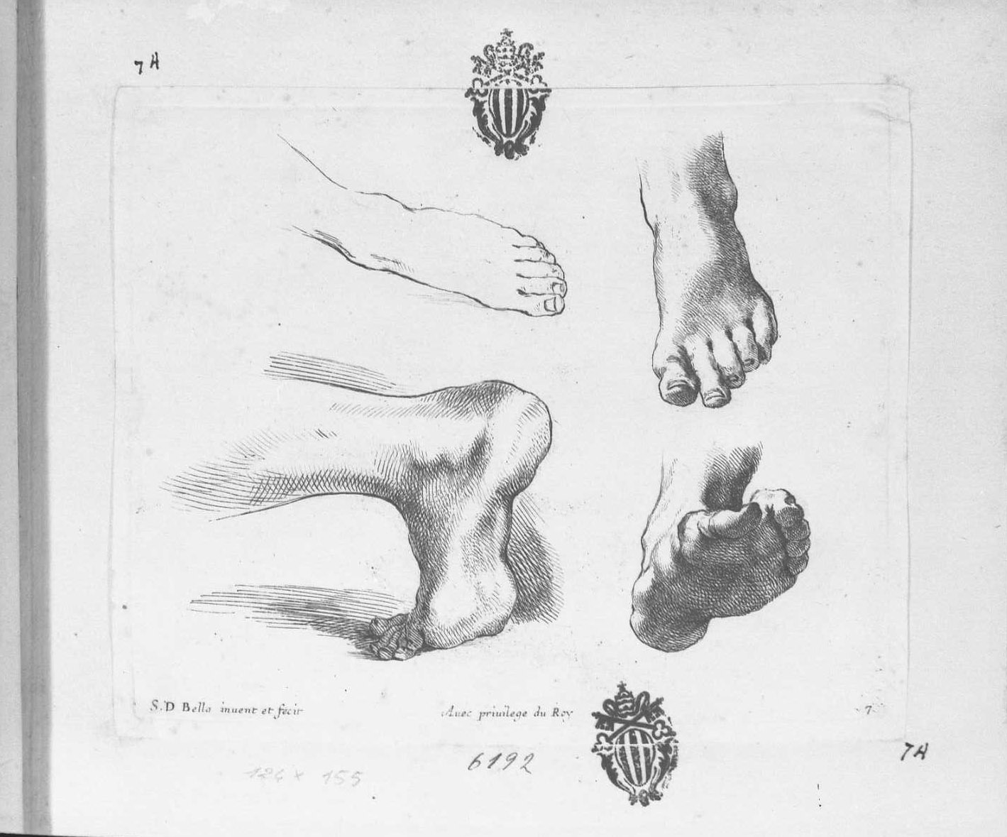 I principi del disegno: cinque piedi sinistri, piedi (stampa tagliata) di Della Bella Stefano (sec. XVII)
