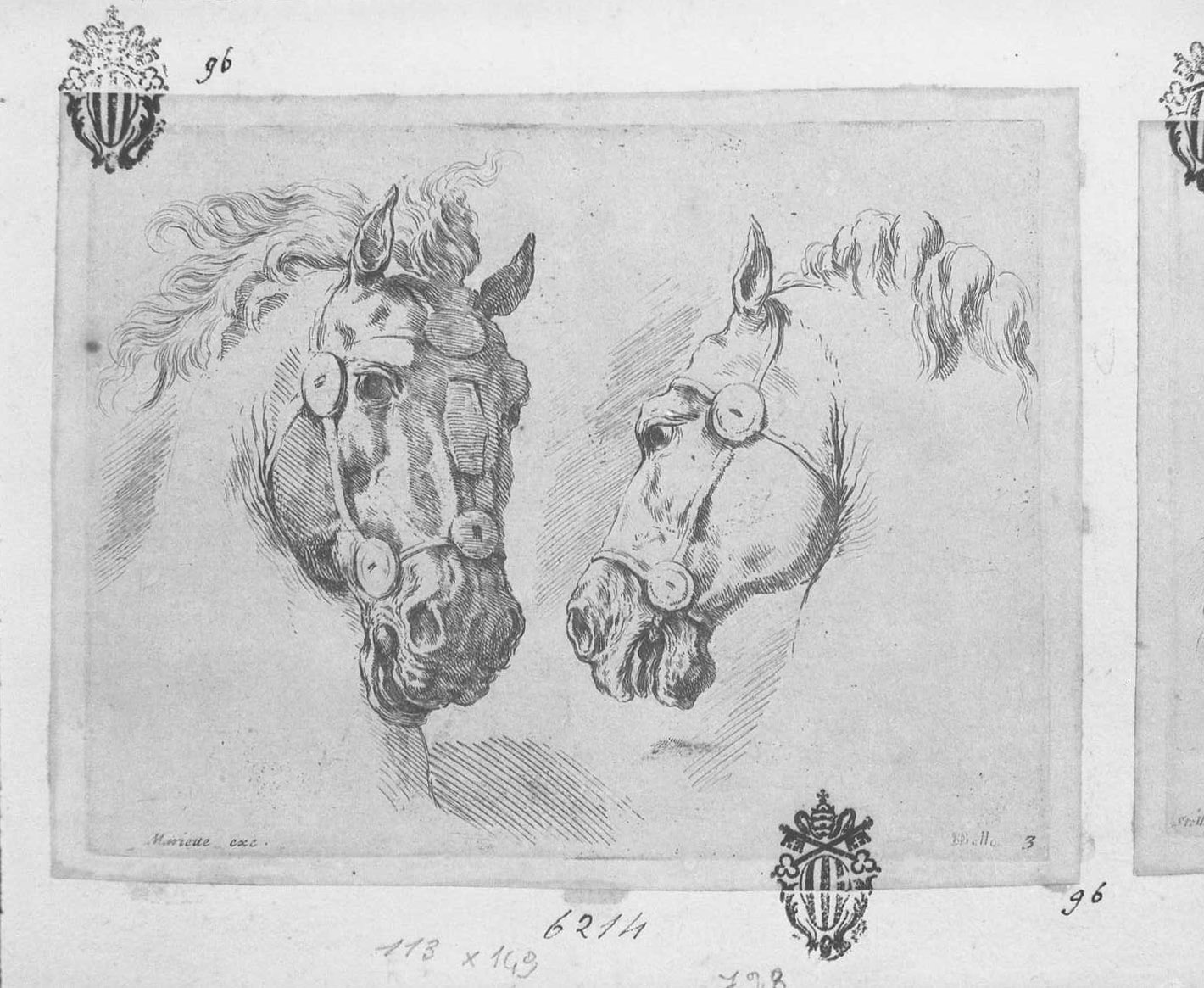 Due teste di cavallo, animali (stampa tagliata) di Della Bella Stefano (sec. XVII)