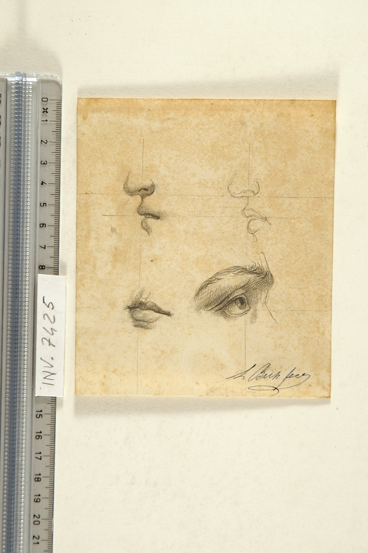 studio di nasi, bocca e occhio (disegno) di Busi Luigi (sec. XIX)
