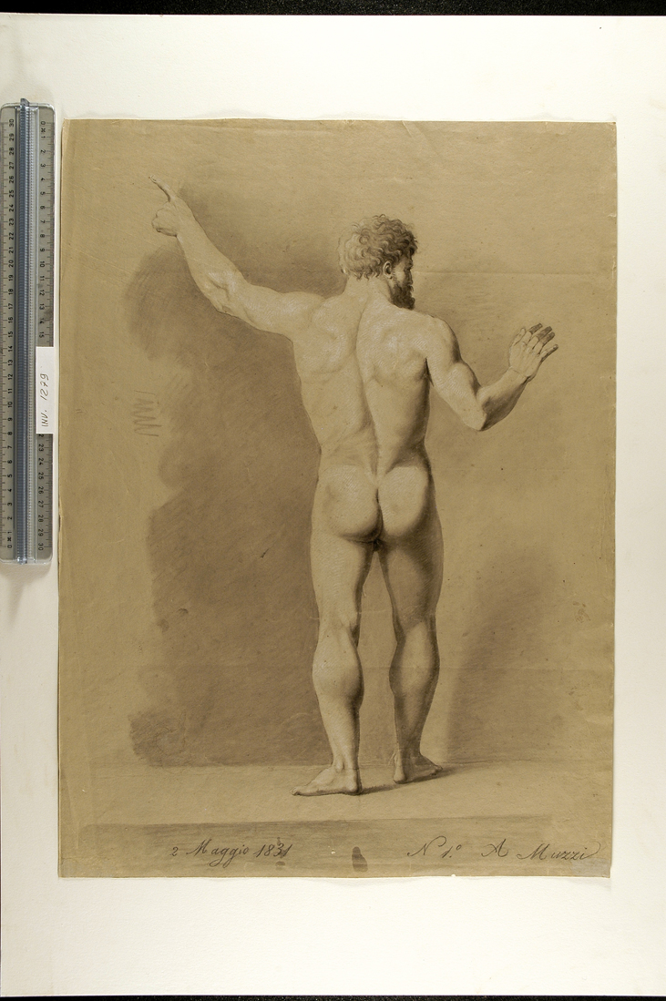 studio accademico di nudo virile in piedi, visto da tergo (disegno) di Muzzi Antonio (sec. XIX)