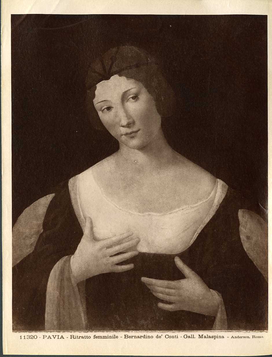 Ritratto femminile - Dipinti (positivo) di Pseudo Boltraffio, Conti, Bernardino de' (attr), Anderson, Domenico (ditta) (XIX/ XX)