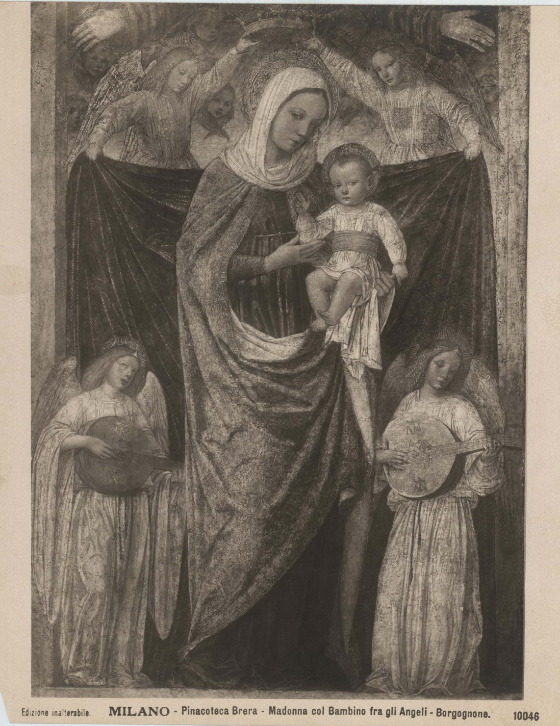 Madonna con Bambino e santi - Dipinti (positivo) di Bergognone, Ambrogio, Anonimo (XX)