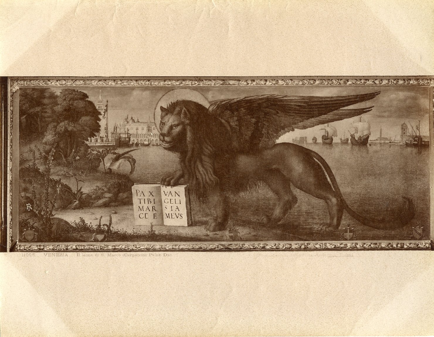 Il leone di San Marco - Dipinti (positivo) di Carpaccio, Vittore, Anderson, Domenico (ditta) (XIX/ XX)