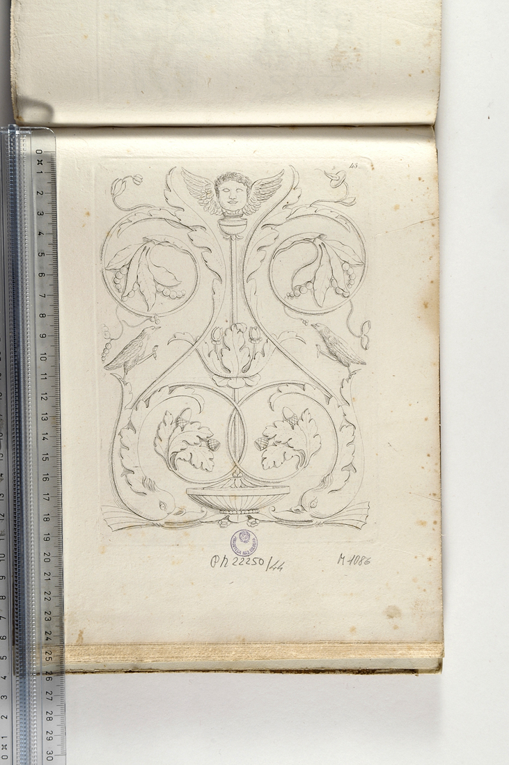 motivi decorativi vegetali con figure alate (stampa) di Magazzari Giovanni (sec. XIX)