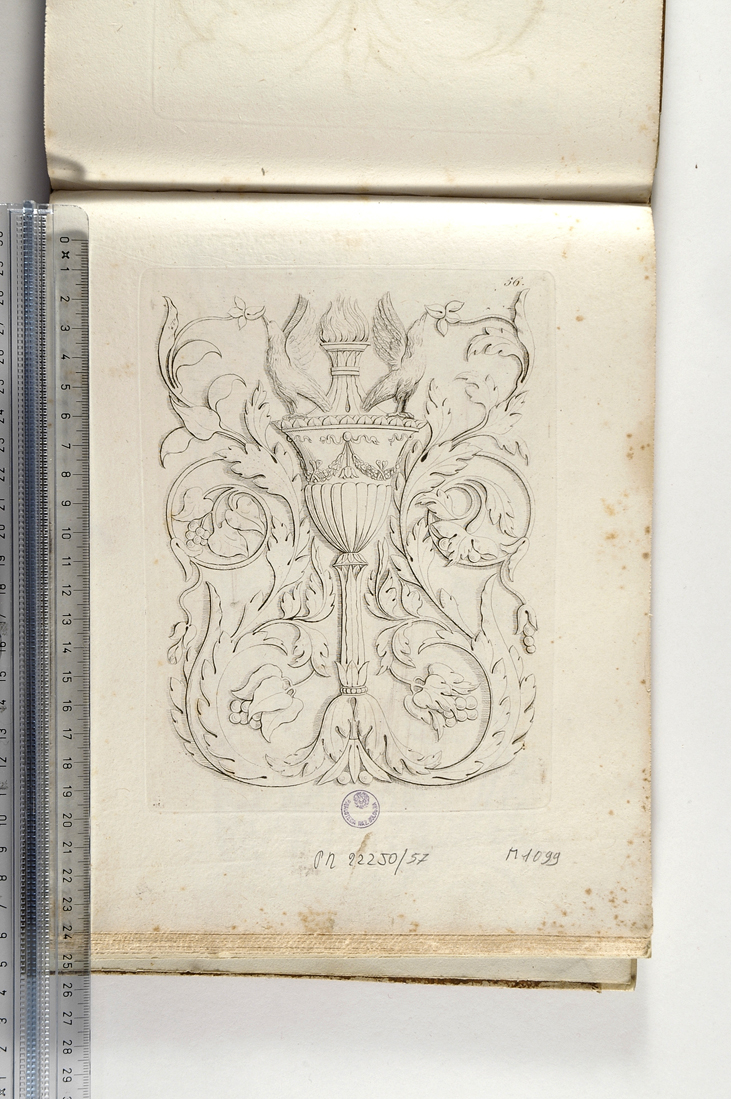 motivi decorativi vegetali con uccelli (stampa) di Magazzari Giovanni (sec. XIX)