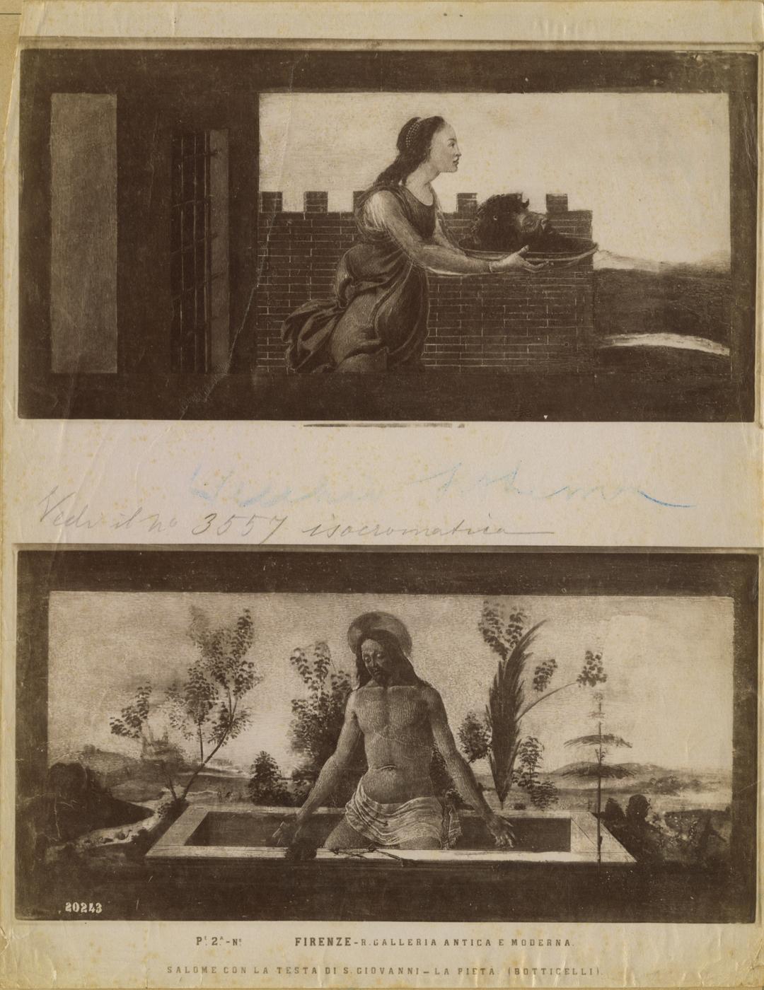 Pala di San Barnaba - Dipinti (positivo) di Botticelli, Sandro, Fratelli Alinari (attr) (XIX)