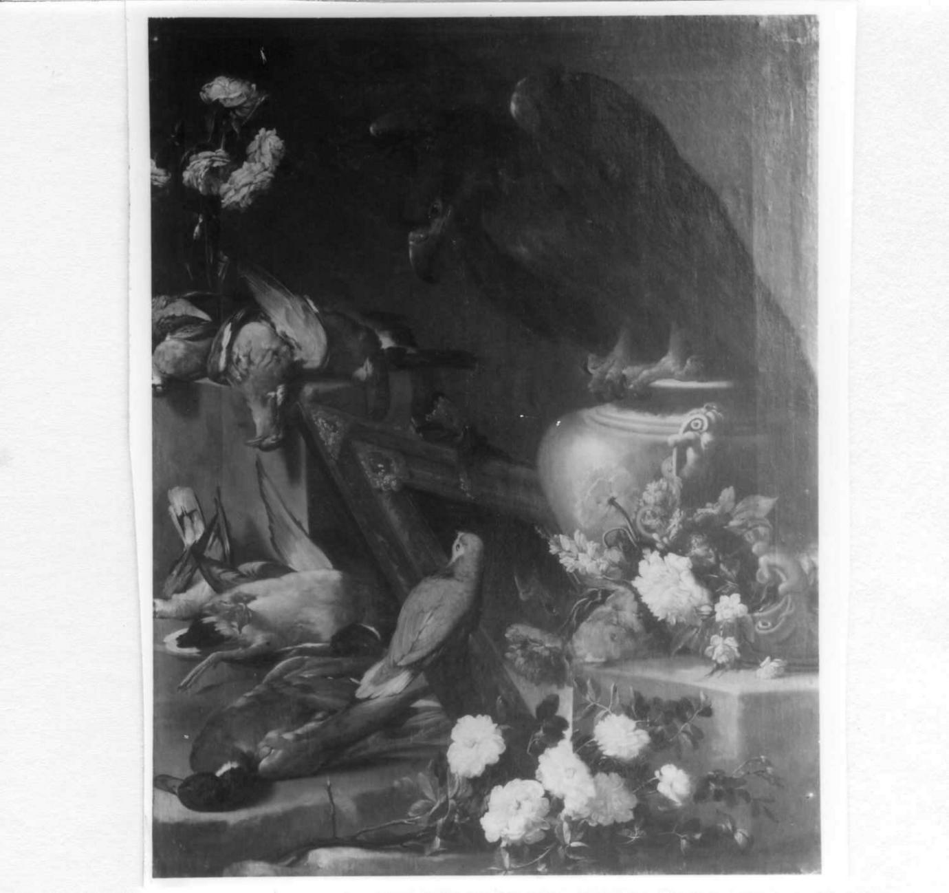 natura morta con cacciagione, fiori e uccelli (dipinto) - ambito europeo (fine/inizio secc. XVII/ XVIII)