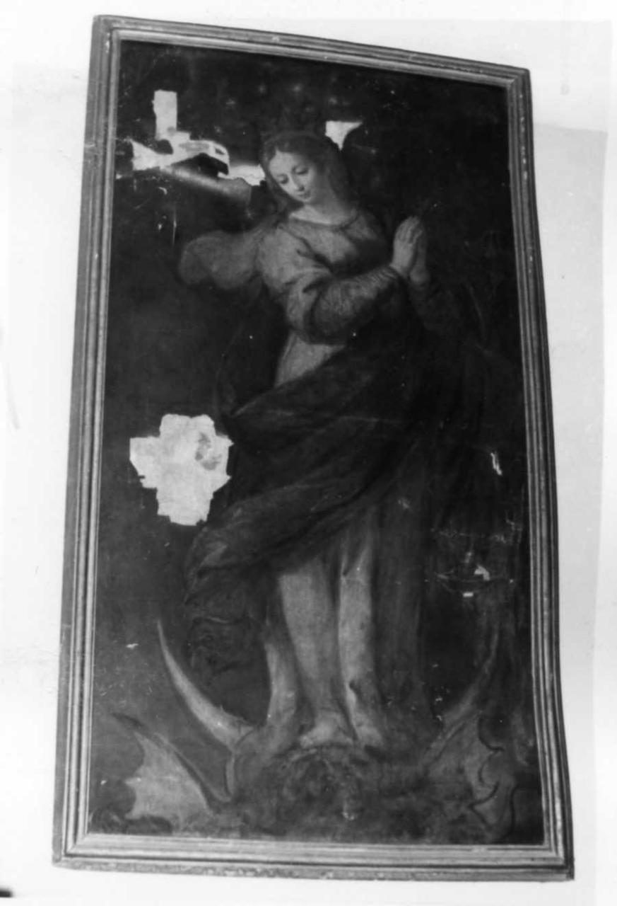 Madonna Immacolata (dipinto) - ambito modenese (inizio sec. XVIII)