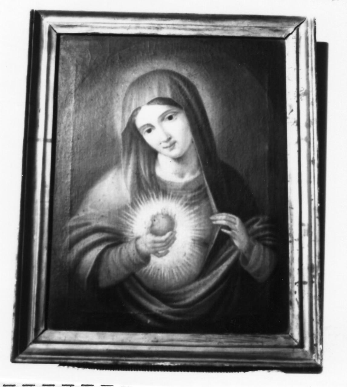 Sacro Cuore di Maria (dipinto) di Farina Giovanni (sec. XIX)