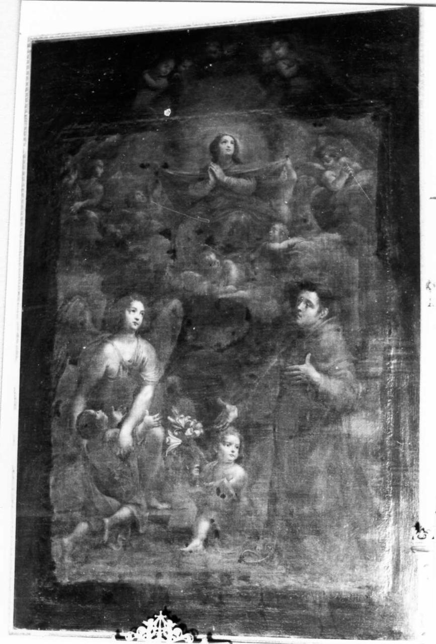 Madonna Assunta con angeli e Sant'Antonio da Padova (dipinto) - ambito modenese (seconda metà sec. XVII)