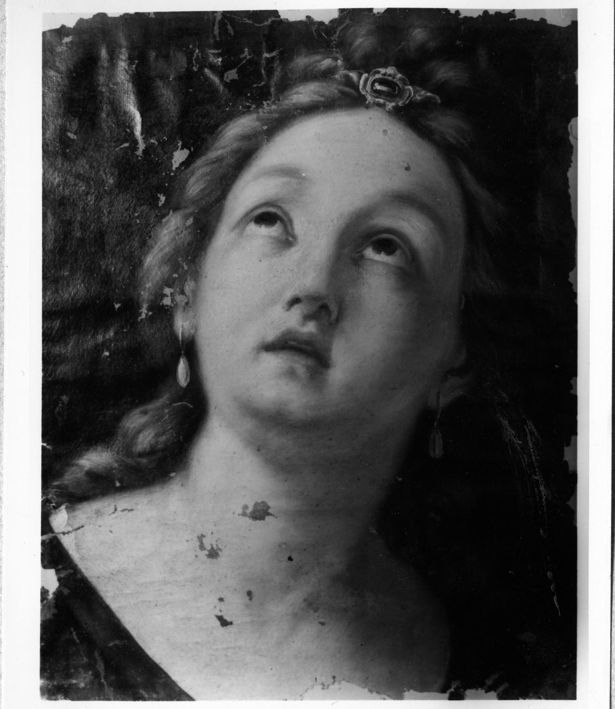 testa di donna con diadema (dipinto) di Zoboli Giacomo (primo quarto sec. XVIII)