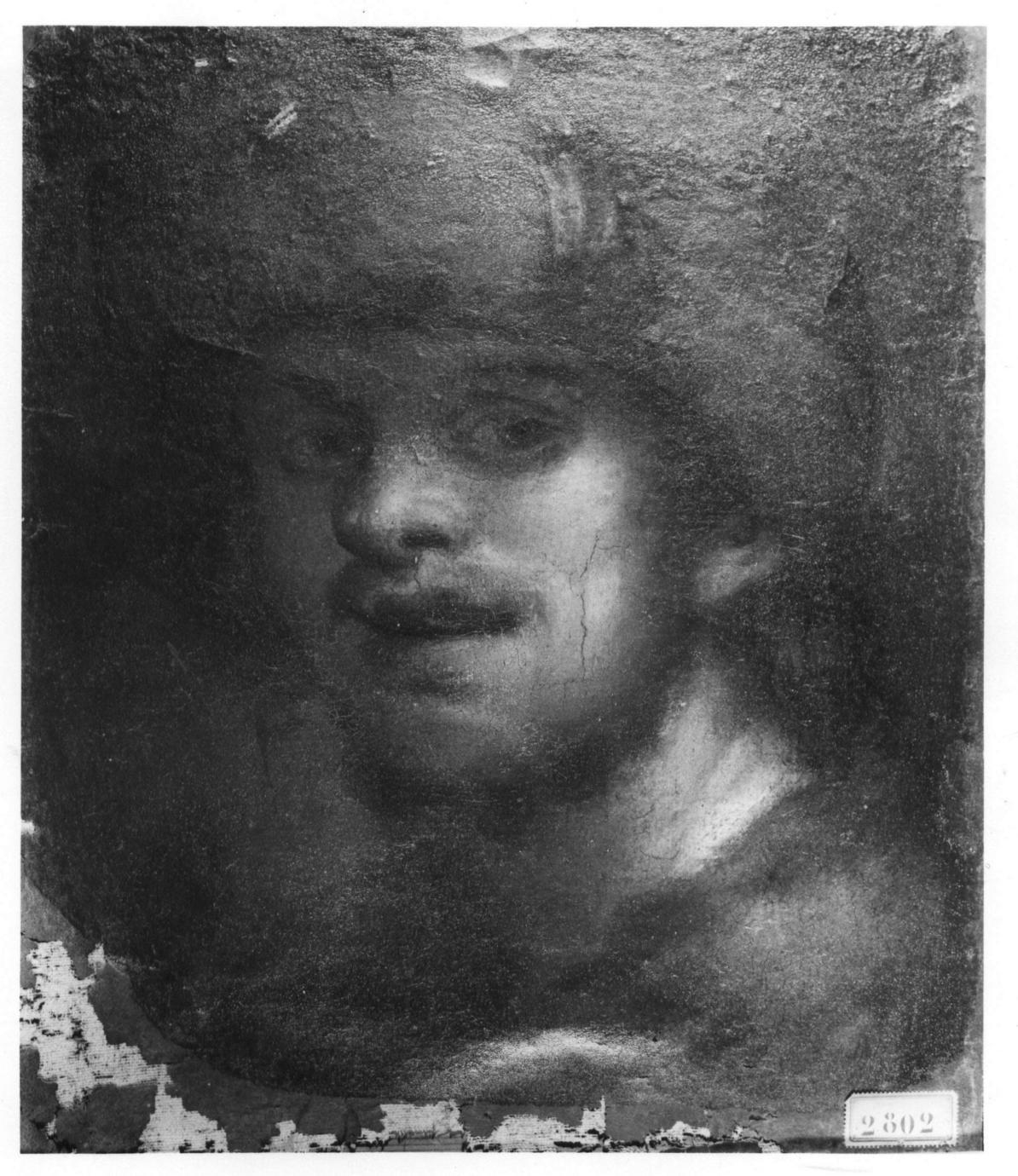 testa di giovane con turbante rosso (dipinto) - ambito olandese (terzo quarto sec. XVII)