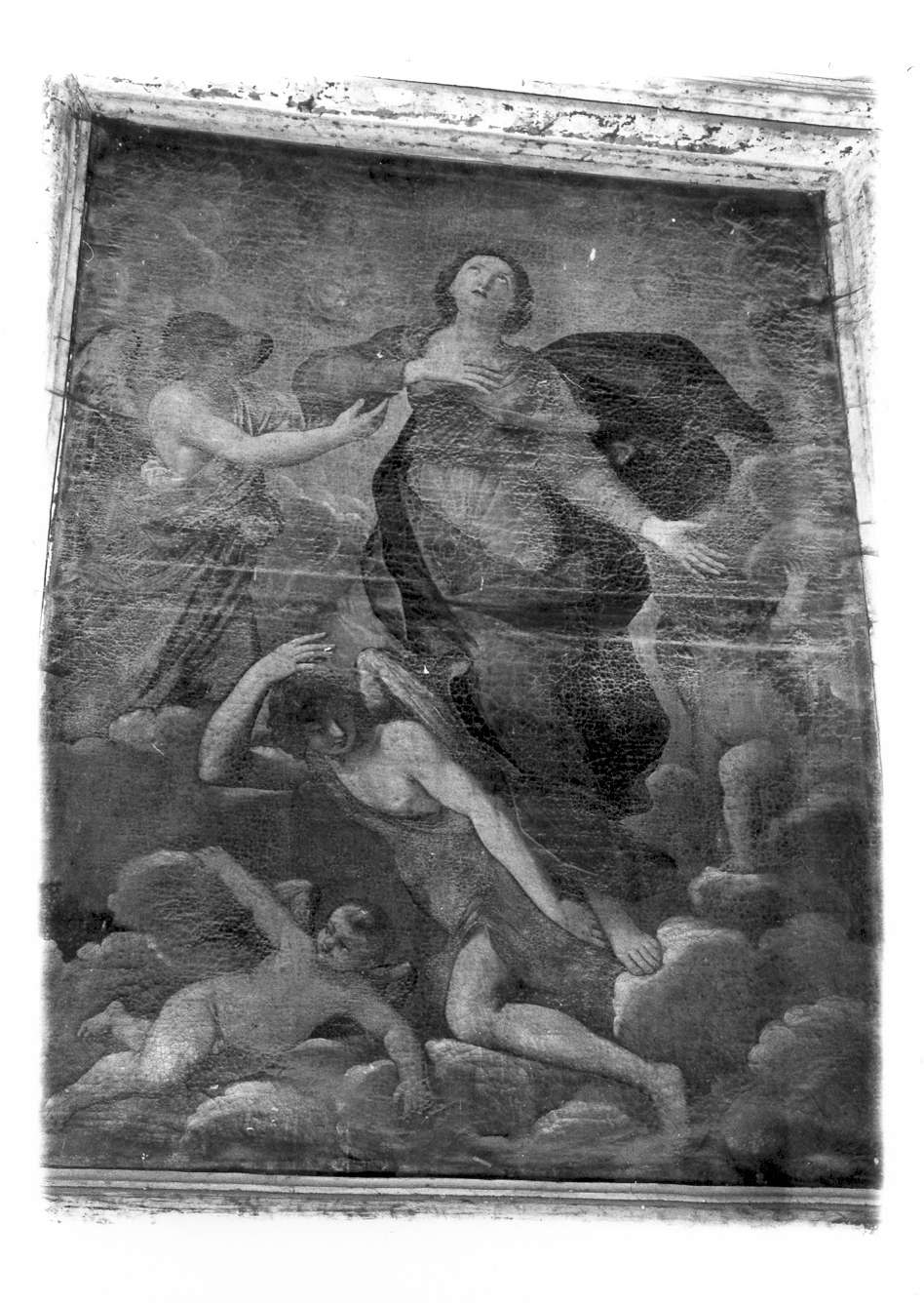 assunzione della Madonna (dipinto) - ambito emiliano (prima metà sec. XVIII)