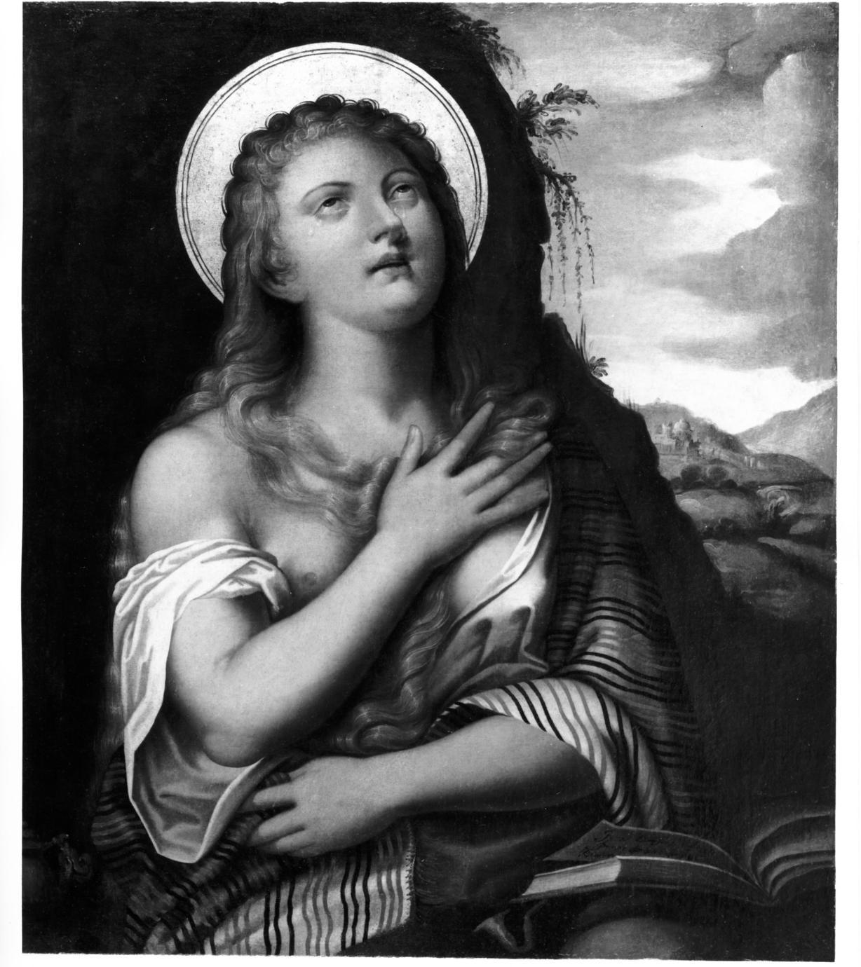 Santa Maria Maddalena penitente (dipinto) di Bacchi Pietro detto Pietro da Bagnara (sec. XVI)