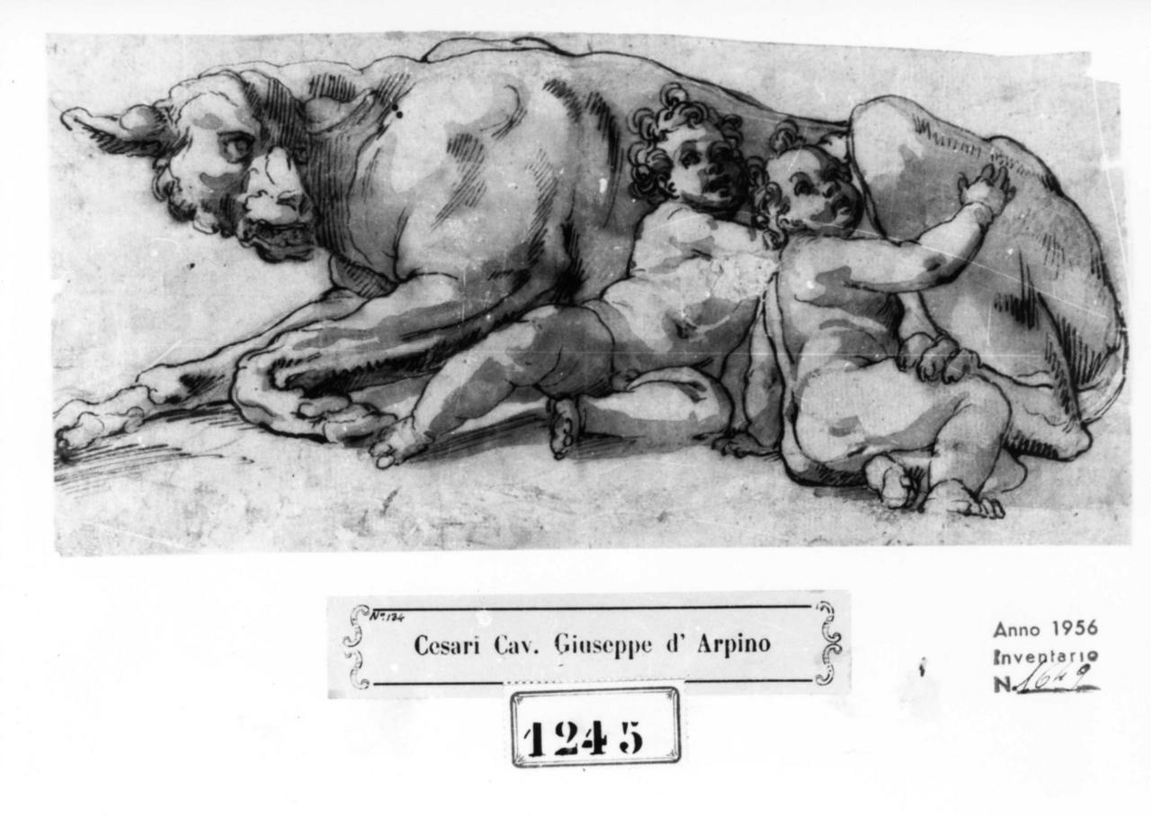 Romolo e Remo allattati dalla lupa (disegno) - ambito italiano (seconda metà sec. XVI)