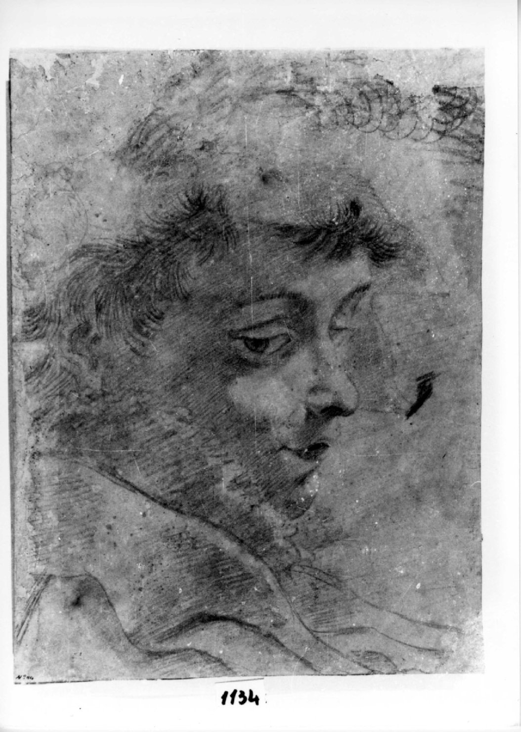 Profilo di fanciullo (r.) - Studio di volto e di braccio (v.), testa d'uomo di profilo (disegno, opera isolata) - ambito bolognese-emiliano (fine/inizio secc. XVI/ XVII)
