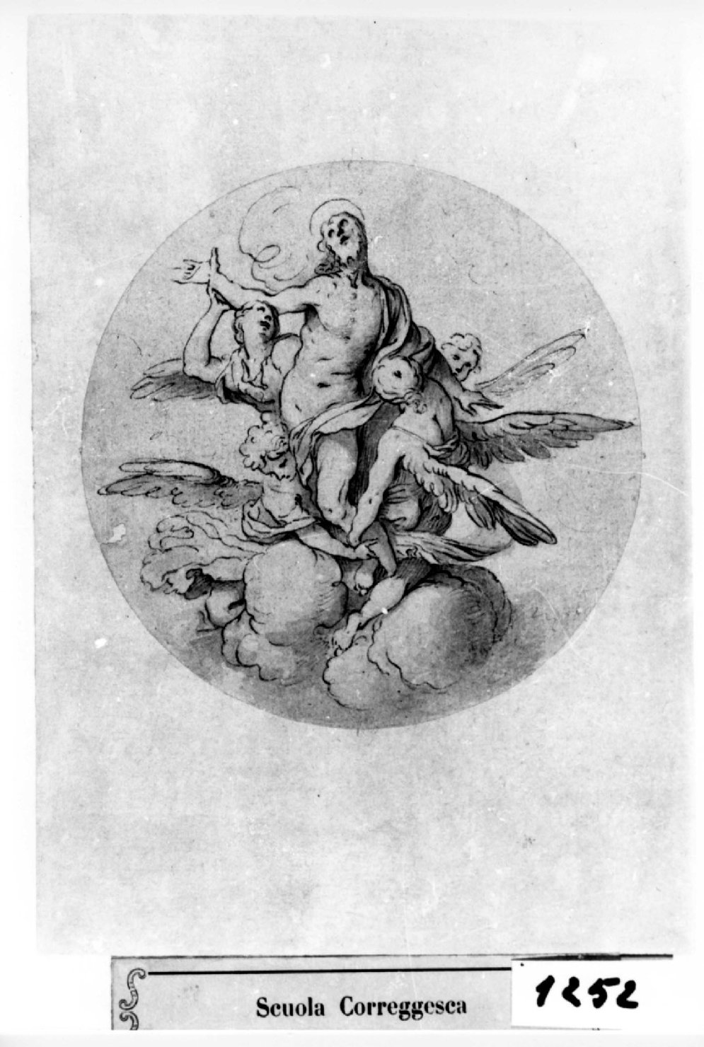 Il Redentore portato da angeli in gloria, Cristo in gloria (disegno) di Piola Domenico (seconda metà sec. XVII)