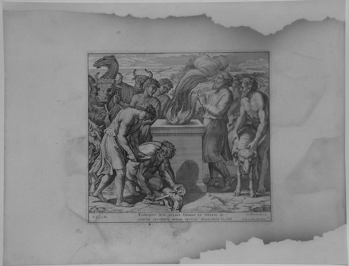 SACRIFICIO DI NOE' (stampa, serie) di Fantetti Cesare, Sanzio Raffaello (bottega) (seconda metà sec. XVII)