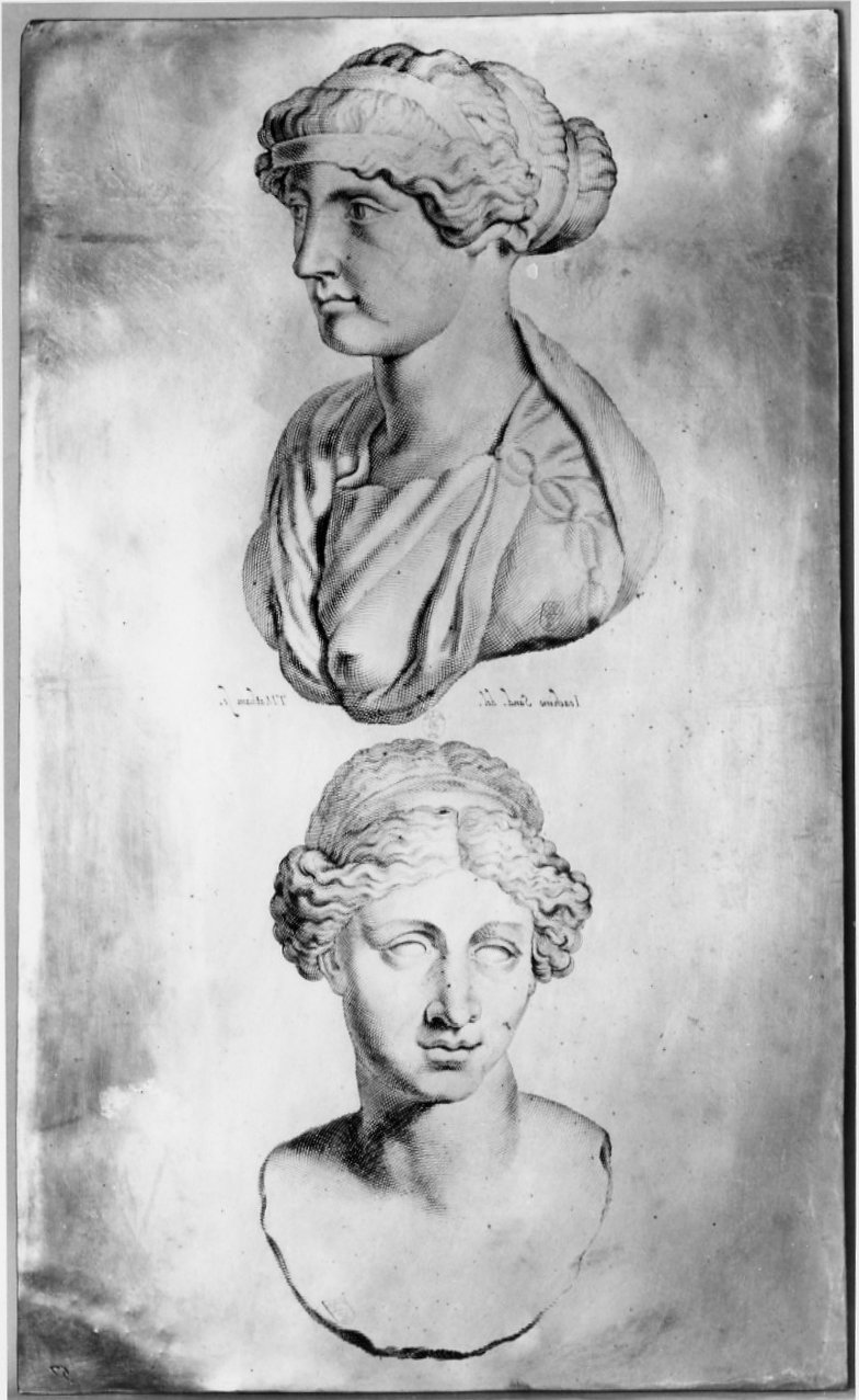 busti femminili (matrice, serie) di Matham Theodor, Von Sandrart Joachim (sec. XVII)