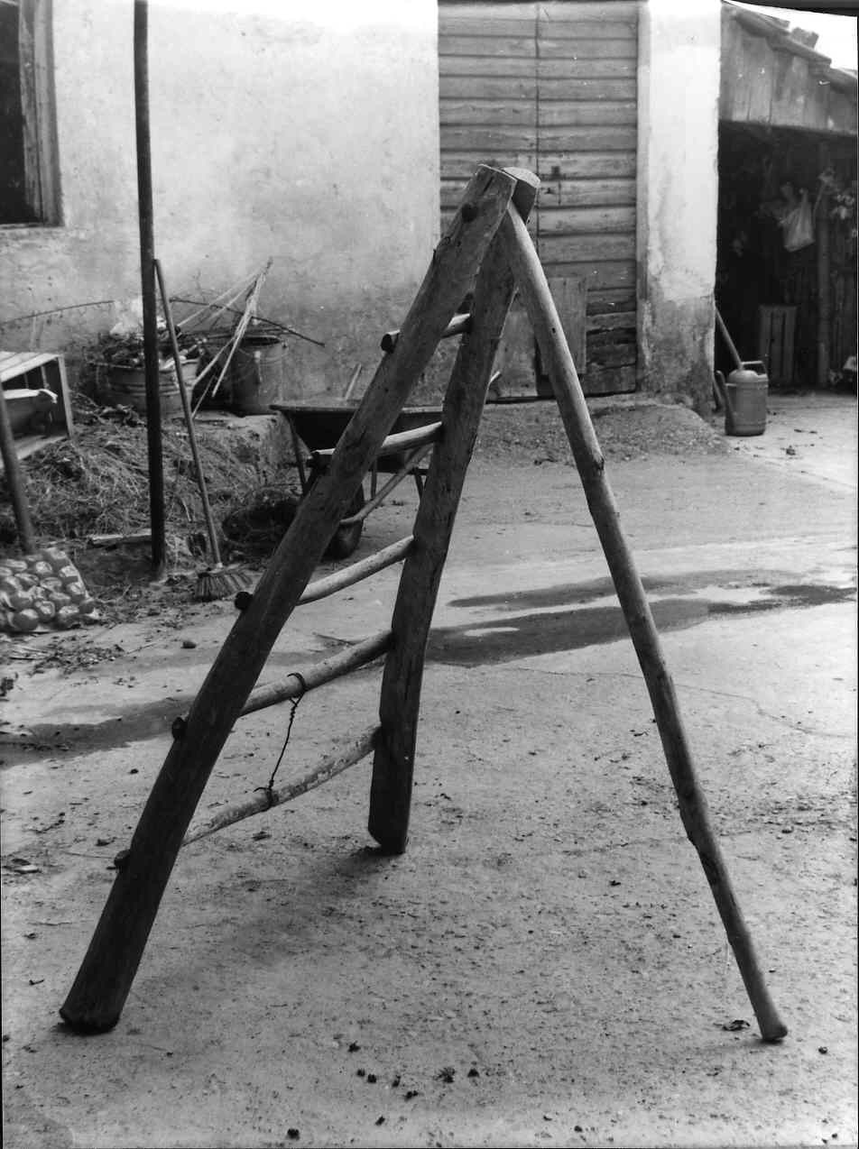 scala, attrezzi di Landi Imolo (contadino) - bottega spezzina (sec. XX)