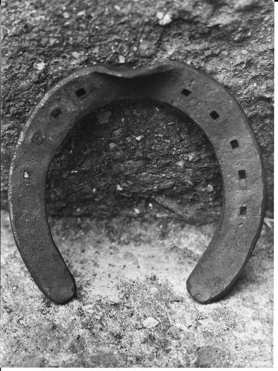 ferro da mulo di Bosetti Milio (artigiano) - produzione (sec. XX)