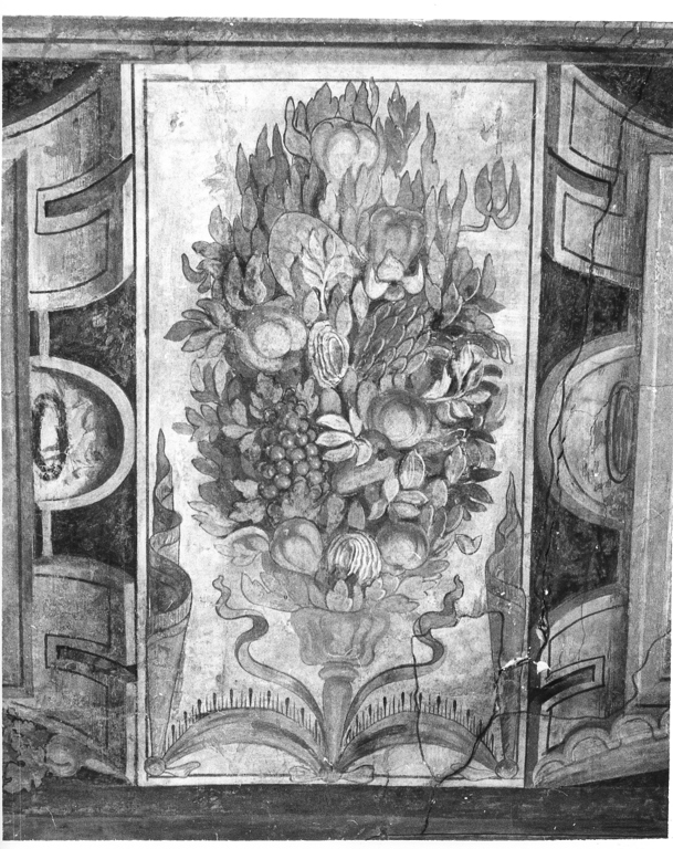 motivi decorativi vegetali (dipinto, ciclo) di Zucchi Francesco (attribuito) (fine sec. XVI)
