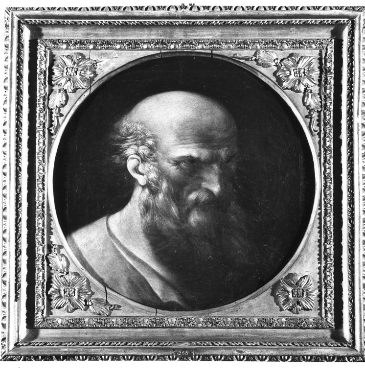 testa d'uomo con barba (dipinto, opera isolata) - ambito romano (prima metà sec. XVII)
