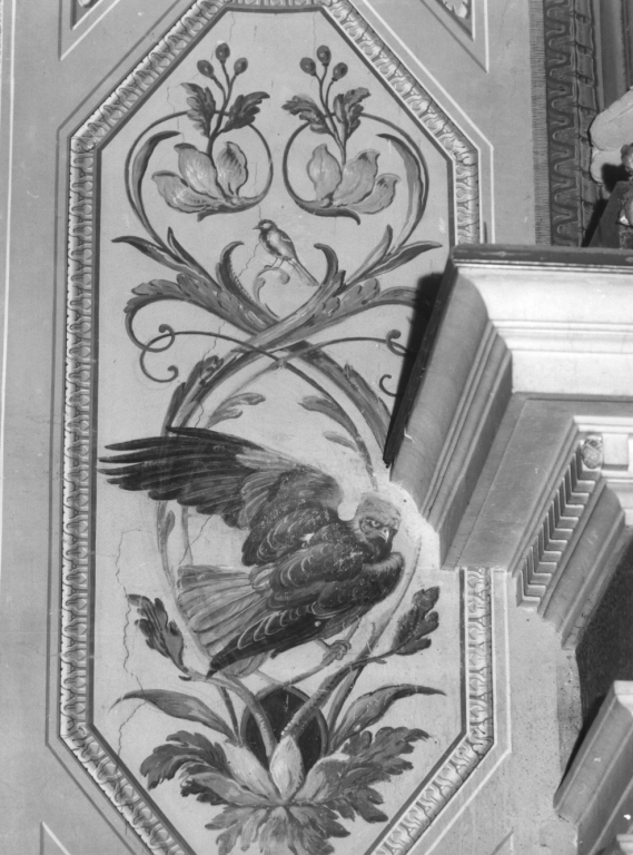 Rapace e uccello (dipinto) di Peters Johann Wenzel (sec. XVIII)