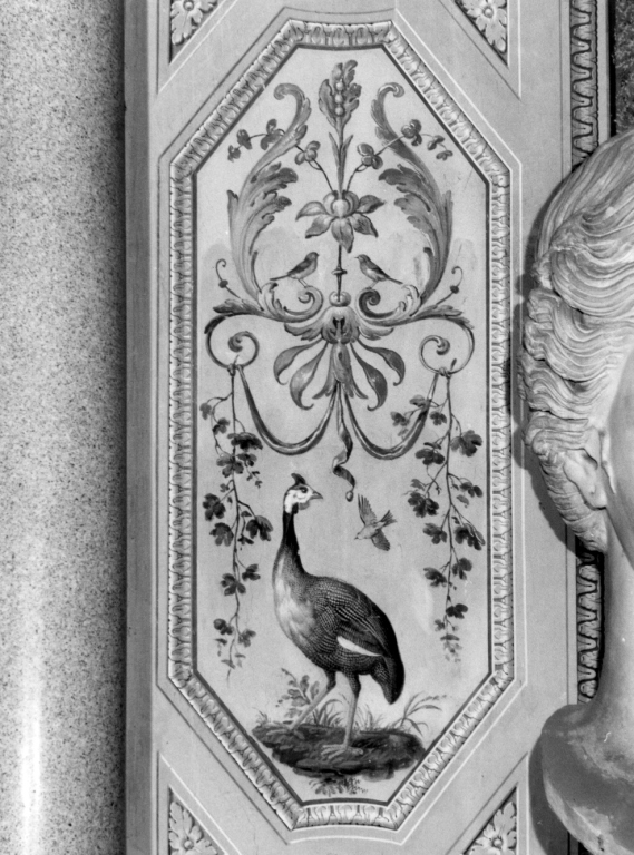 Tacchina e uccelli (dipinto) di Peters Johann Wenzel (sec. XVIII)