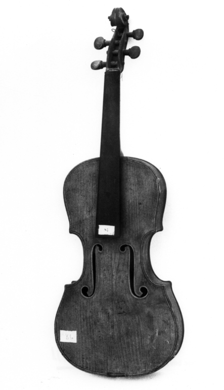violino di Picolotti Celestino (sec. XIX)