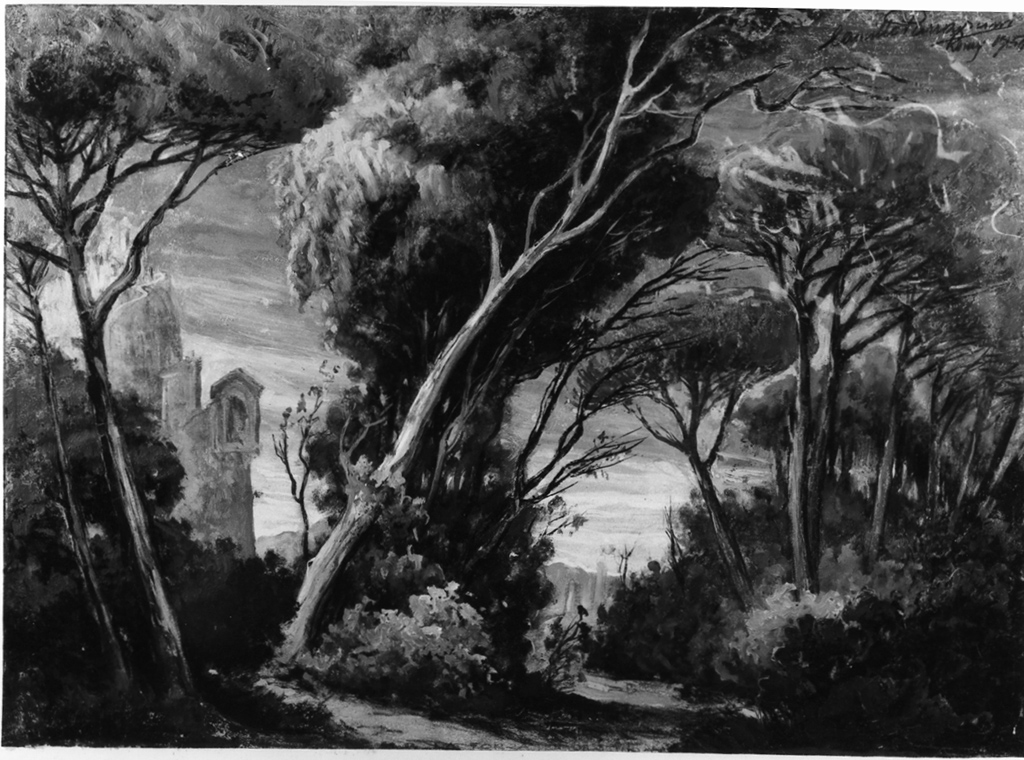 paesaggio boschivo (dipinto) di Parravicini Camillo (sec. XX)
