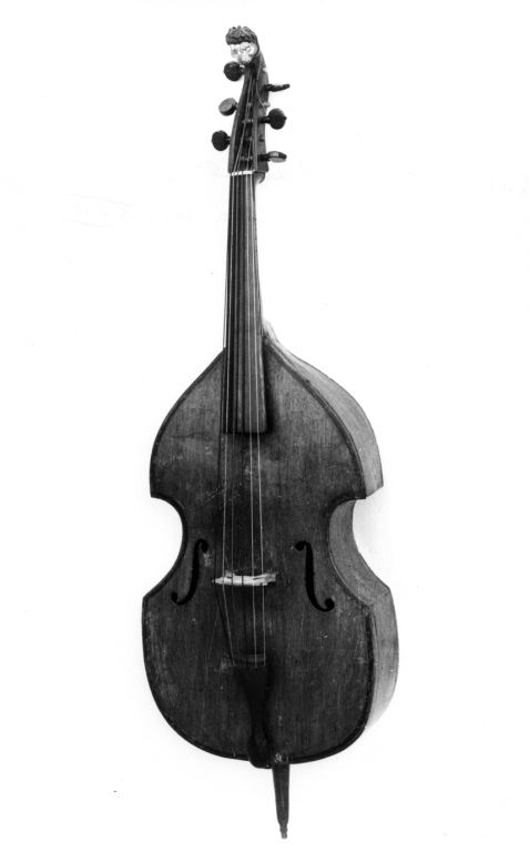 viola da gamba di Tiberini Carlo (sec. XVII)