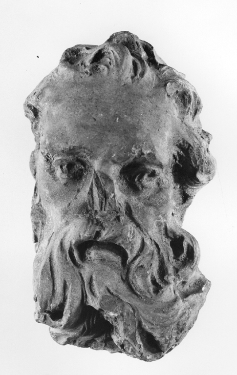 Testa maschile con barba (scultura, frammento) - ambito romano (sec. XVII)