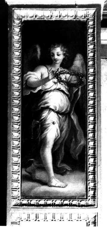 angelo con strumento della passione: corona di spine (dipinto) di Cerruti Michelangelo (sec. XVIII)