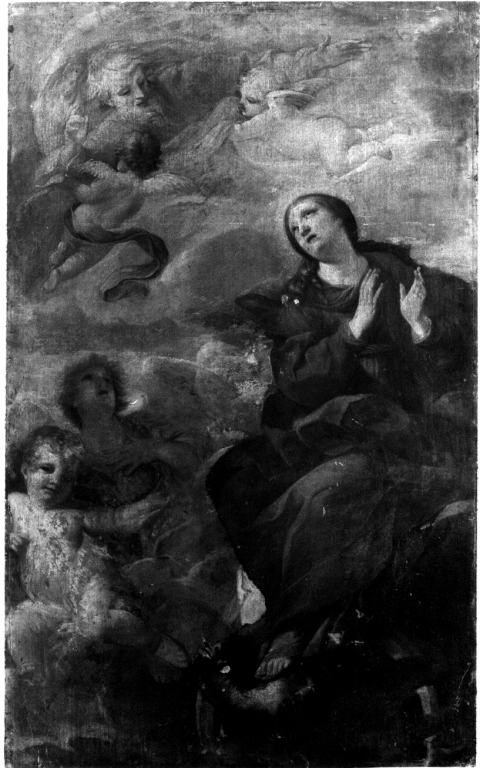 Immacolata Concezione (dipinto) di Vanni Raffaello (metà sec. XVII)