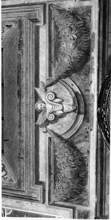 motivi decorativi a festoni con cherubini (dipinto, elemento d'insieme) di Zucchi Francesco (attribuito) (sec. XVI)