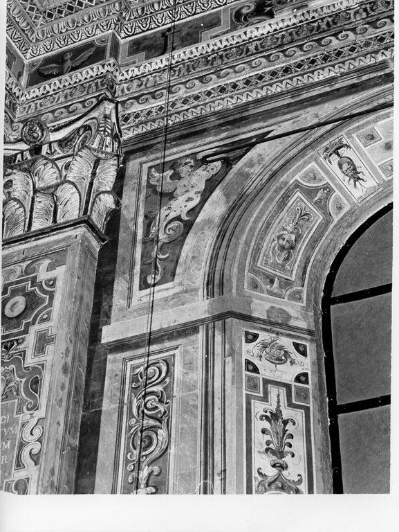 motivi decorativi a grottesche (dipinto, elemento d'insieme) di Zucchi Francesco (attribuito) (sec. XVI)