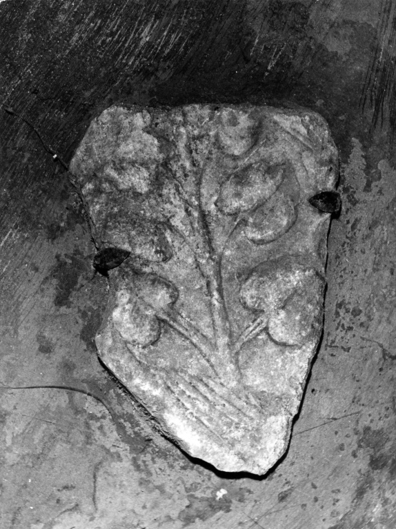 motivi decorativi vegetali (rilievo, frammento) - ambito laziale (sec. XII)