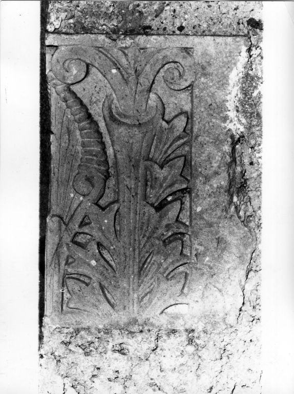 motivi decorativi a foglie d'acanto (rilievo, frammento) - ambito laziale (prima metà sec. XX)