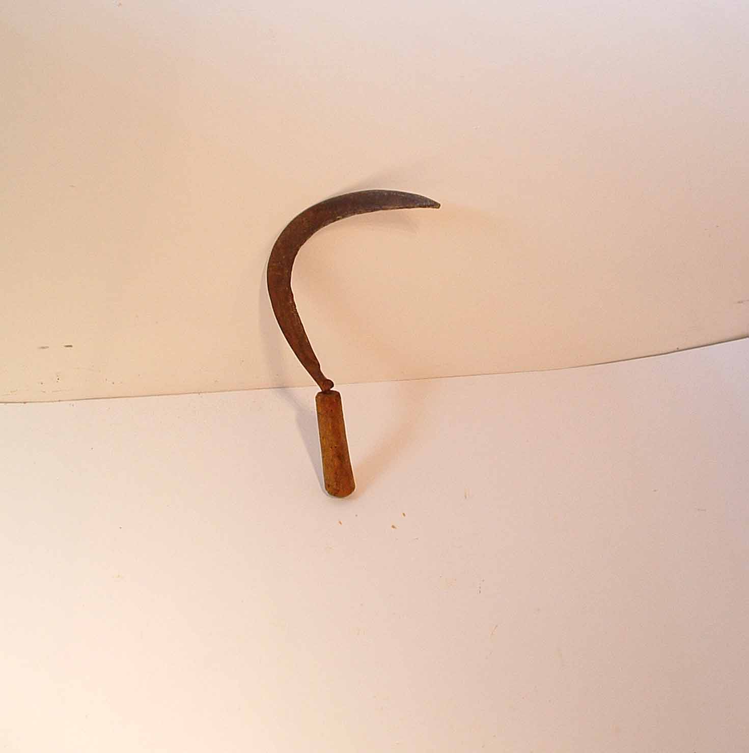 falcetto - produzione marchigiana (secc. XIX/ XX)