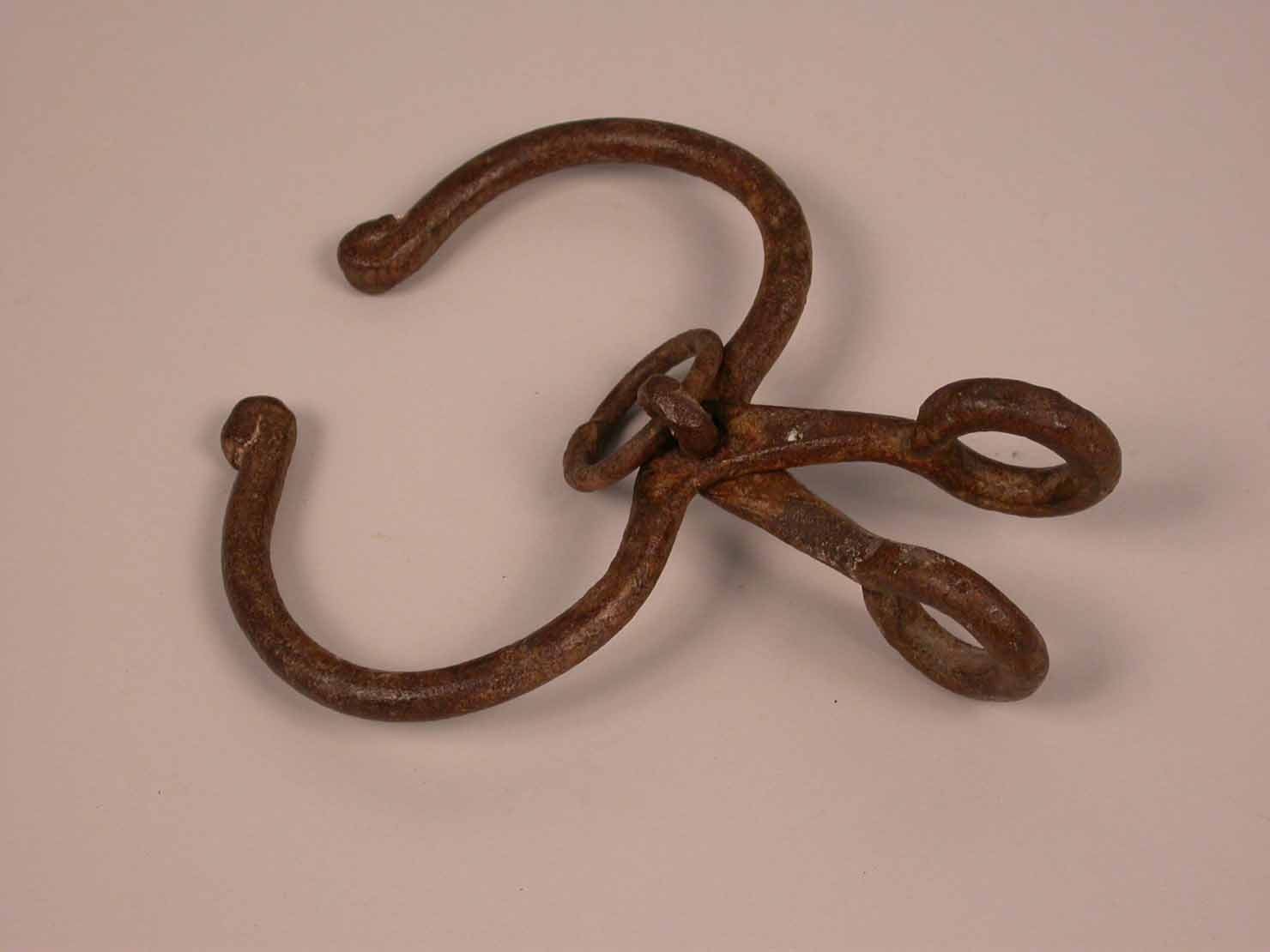 morso da mucca - produzione marchigiana (sec. XX prima metà)