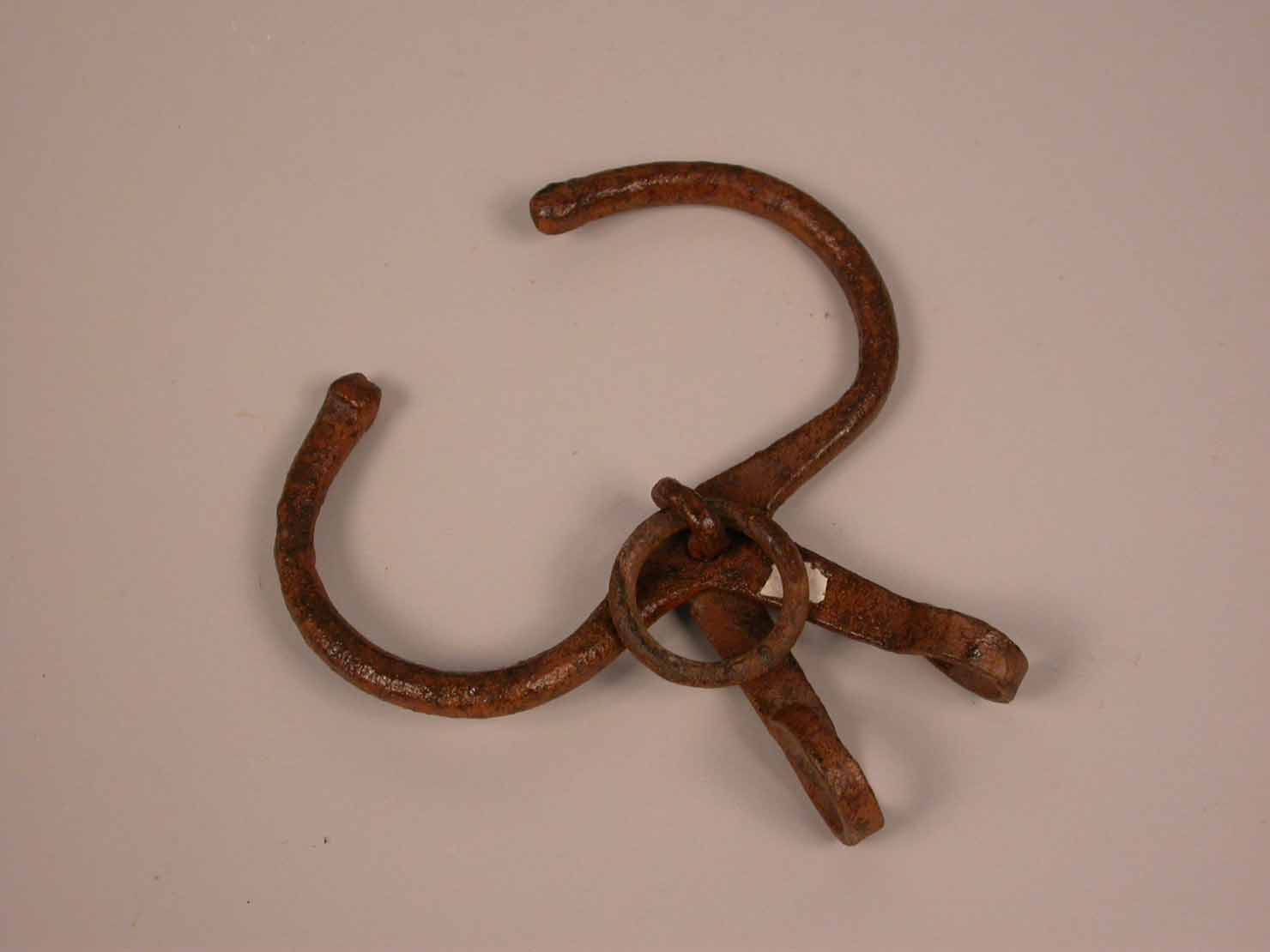 morso da mucca - produzione marchigiana (sec. XX prima metà)