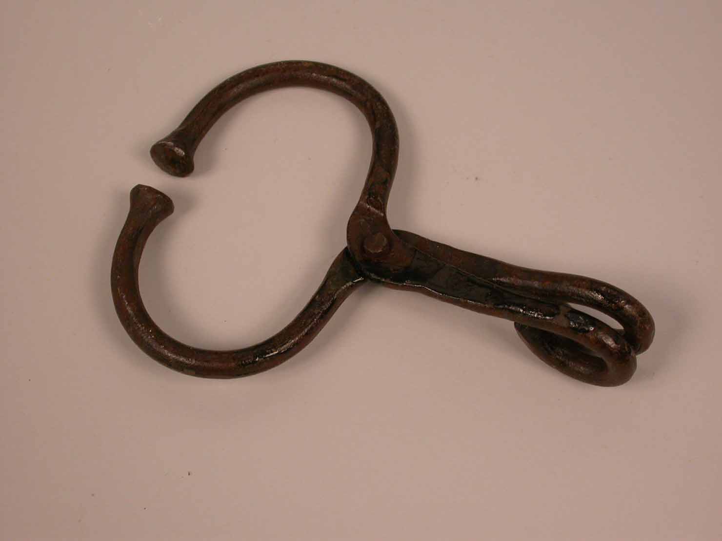 morso da mucca - produzione marchigiana (sec. XX prima metà)