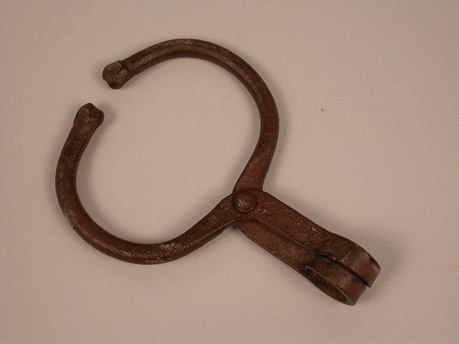 morso da mucca - produzione marchigiana (sec. XX prima metà)