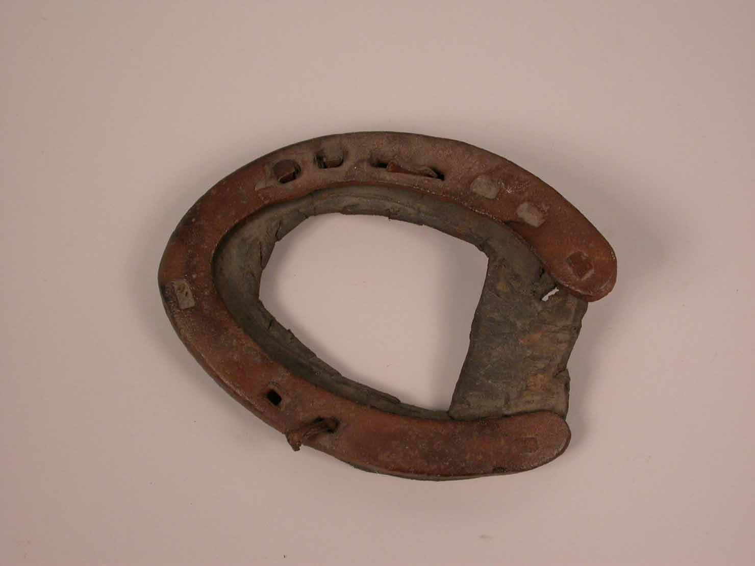 ferro di cavallo - produzione marchigiana (sec. XX prima metà)