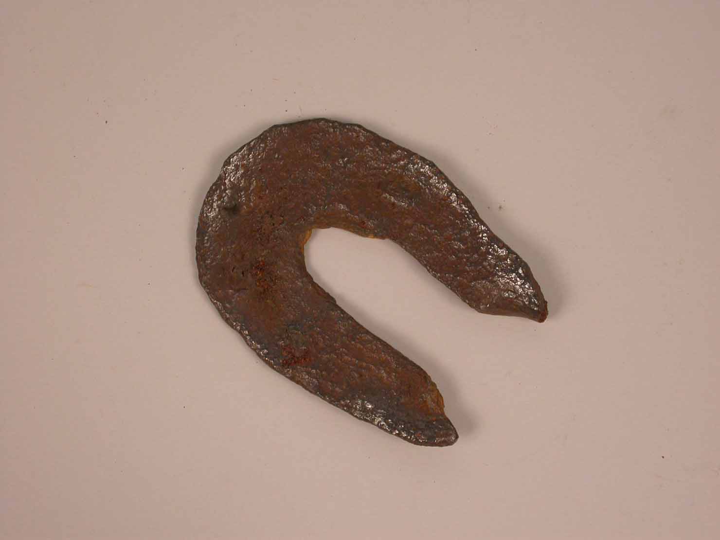 ferro di cavallo - produzione marchigiana (sec. XX prima metà)