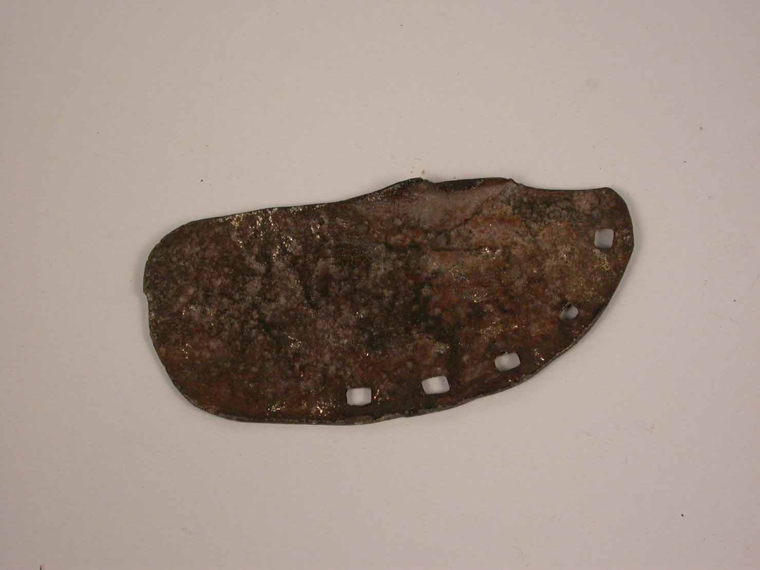 ferro per bovini - produzione marchigiana (sec. XX prima metà)