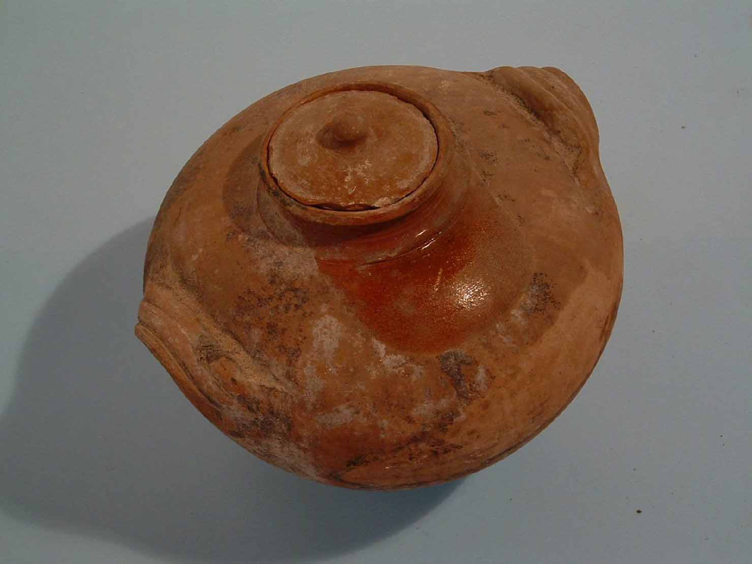 anfora - produzione marchigiana (secc. XIX/ XX)